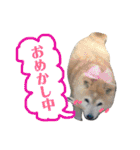 ぱえ♥そら（個別スタンプ：22）