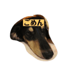 千葉家の人々（個別スタンプ：14）