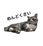 私の家猫の日常（個別スタンプ：18）