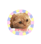 高橋家のきなこ（個別スタンプ：6）