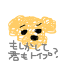 うちのトイプードル3（個別スタンプ：3）