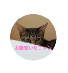 れおくん丸（個別スタンプ：3）