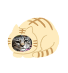 れおくん丸（個別スタンプ：8）