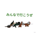 パンツくんとオムツくん完全版（個別スタンプ：32）