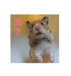 ゴールデンハムさん（個別スタンプ：5）