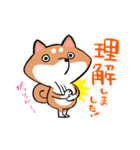 ゆる敬語な柴犬ちゃん（個別スタンプ：17）