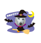 タロー君のハロウィンコスプレスタンプ（個別スタンプ：3）