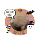 タロー君のハロウィンコスプレスタンプ（個別スタンプ：5）