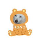 タロー君のハロウィンコスプレスタンプ（個別スタンプ：6）