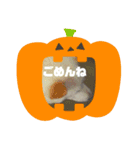タロー君のハロウィンコスプレスタンプ（個別スタンプ：10）