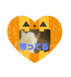 タロー君のハロウィンコスプレスタンプ（個別スタンプ：11）