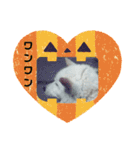 タロー君のハロウィンコスプレスタンプ（個別スタンプ：16）