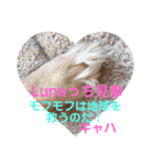 Lunaっちだよ〜 。2（個別スタンプ：9）