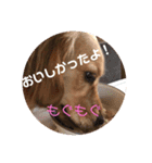 Lunaっちだよ〜 。2（個別スタンプ：10）