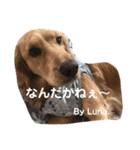 Lunaっちだよ〜 。2（個別スタンプ：13）