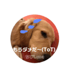 Lunaっちだよ〜 。2（個別スタンプ：14）