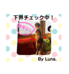 Lunaっちだよ〜 。2（個別スタンプ：15）