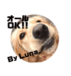 Lunaっちだよ〜 。2（個別スタンプ：16）