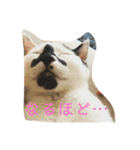 梅ちゃんのスタンプ（個別スタンプ：2）