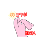 Live  Rabbit（個別スタンプ：11）