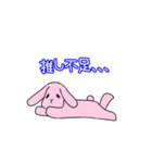 Live  Rabbit（個別スタンプ：12）