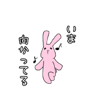 Live  Rabbit（個別スタンプ：13）