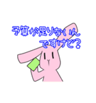 Live  Rabbit（個別スタンプ：30）