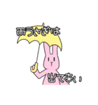 Live  Rabbit（個別スタンプ：35）