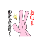Live  Rabbit（個別スタンプ：37）
