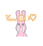 Live  Rabbit（個別スタンプ：38）