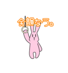 Live  Rabbit（個別スタンプ：40）