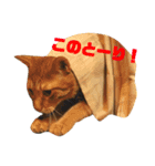 かつおとわかめ②〜かつお編〜（個別スタンプ：10）
