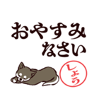 黒柴しょう（デカ文字・敬語）（個別スタンプ：10）