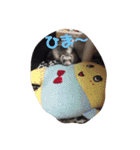 フェレズ❤︎（個別スタンプ：17）