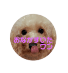 めりたんすたんぷ♥♥（個別スタンプ：1）