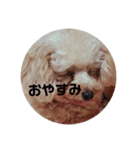 めりたんすたんぷ♥♥（個別スタンプ：3）