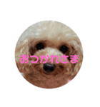 めりたんすたんぷ♥♥（個別スタンプ：5）