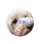 めりたんすたんぷ♥♥（個別スタンプ：6）