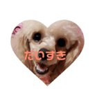 めりたんすたんぷ♥♥（個別スタンプ：7）