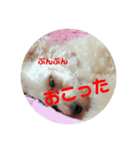 めりたんすたんぷ♥♥（個別スタンプ：8）