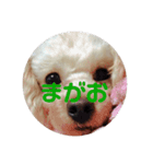 めりたんすたんぷ♥♥（個別スタンプ：9）