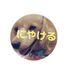 めりたんすたんぷ♥♥（個別スタンプ：10）