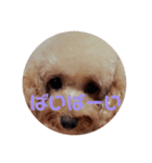 めりたんすたんぷ♥♥（個別スタンプ：13）