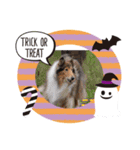 2018ccoc ハロウィン（個別スタンプ：2）