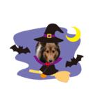 2018ccoc ハロウィン（個別スタンプ：3）