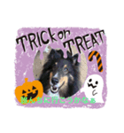 2018ccoc ハロウィン（個別スタンプ：4）