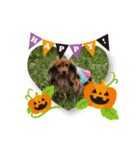 2018ccoc ハロウィン（個別スタンプ：8）