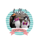 2018ccoc ハロウィン（個別スタンプ：10）