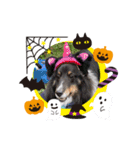 2018ccoc ハロウィン（個別スタンプ：14）