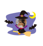 2018ccoc ハロウィン（個別スタンプ：17）